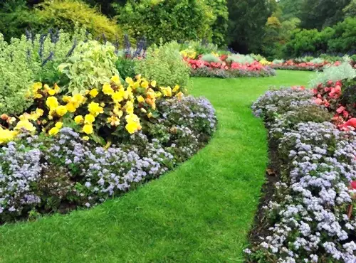 Featured image 2