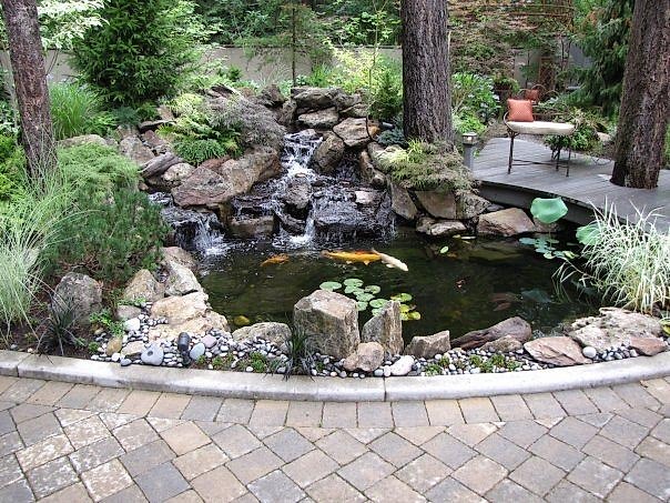 Featured image 2